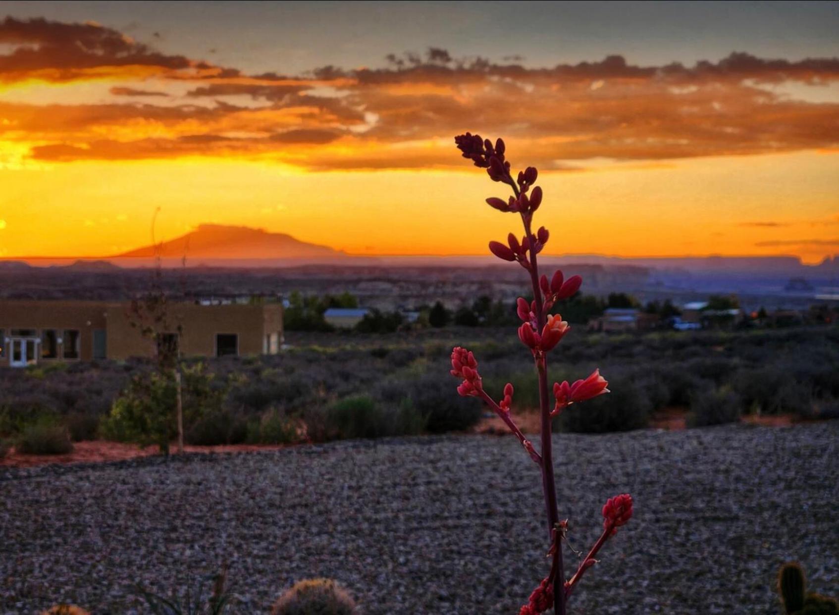 Page Arizona Border Town- Crimson Suite, Desert Canyon Getaway With Views Big Water Exterior photo